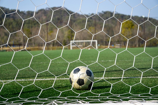 锋的稀缺 锋的稀缺