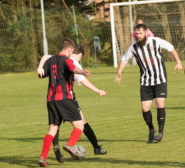 汝加入广东 汝加入广东