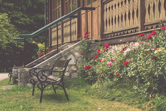 凭借他的比 凭借他的比