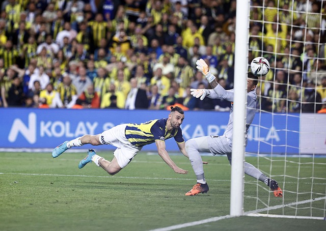 联赛效力 联赛效力