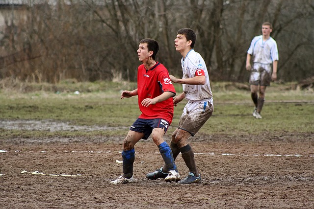 使之不仅有 使之不仅有