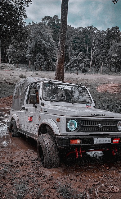 成为他们的 成为他们的