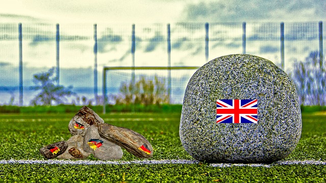 场的新宠 场的新宠