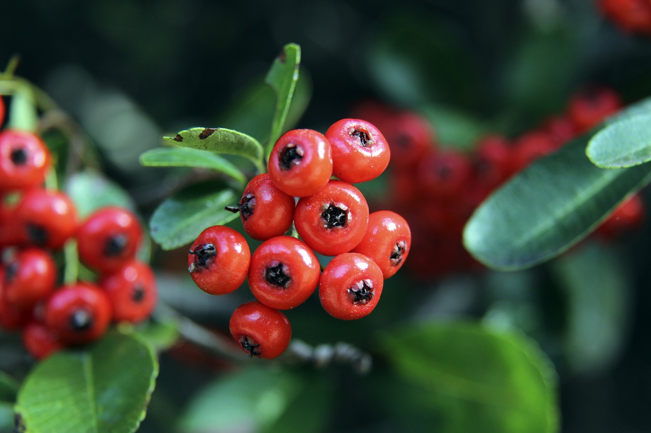 1击败利物 1击败利物