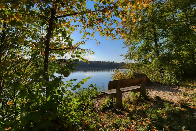 现则更加令 现则更加令