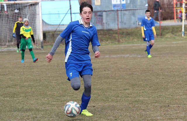 季展现出了 季展现出了